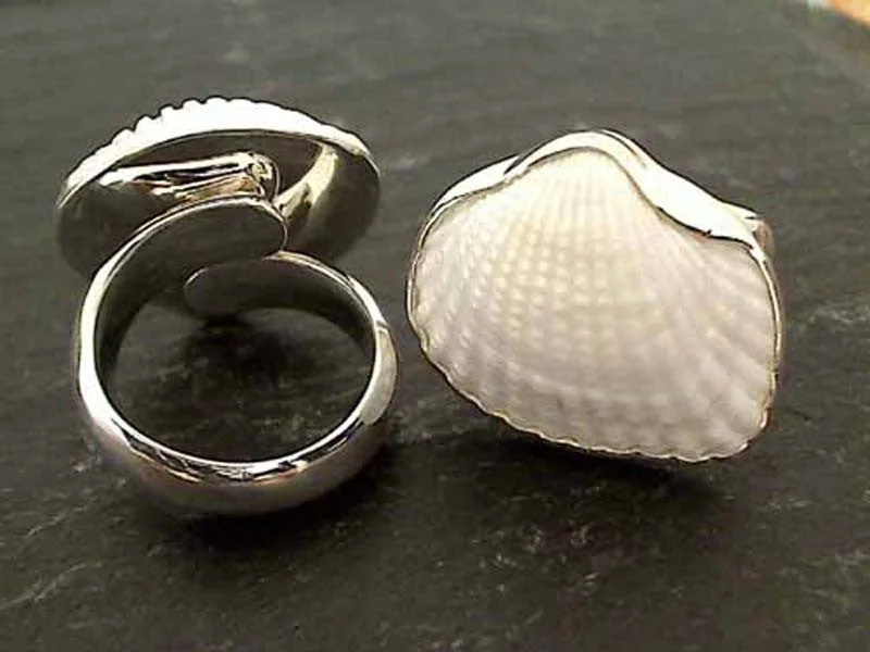 Wide band rings-Ark Shell, Fine Sterling Ring - Adjustable