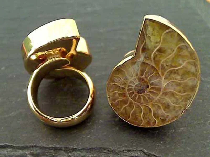 Wide geometric rings-Fossil Ammonite, Alchemia Ring - Adj. Size